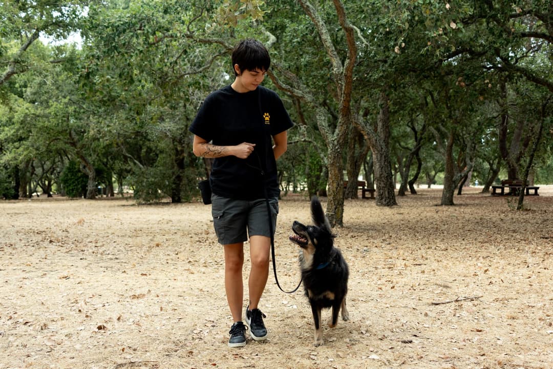 Professional dog trainer with happy dogs
